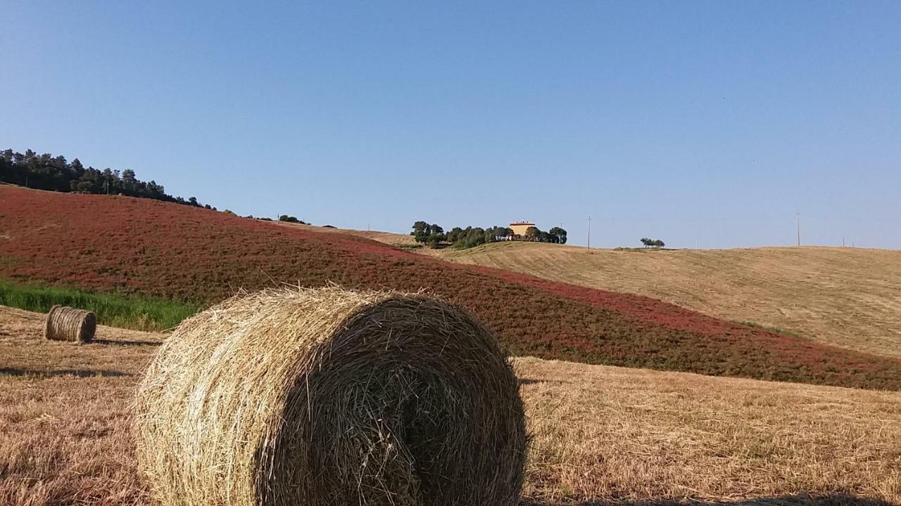 Agriturismo Santa Bruna Volterra Exterior foto